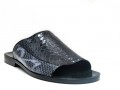Black snake
